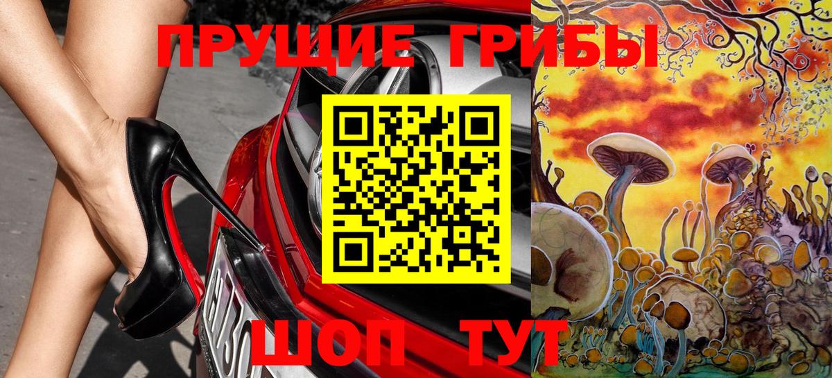 Красный Сулин  Галлюциногенные грибы прущие грибы  Вход с VPN 